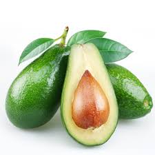 Aguacate Fuerte - Brazilian Fruits Exports